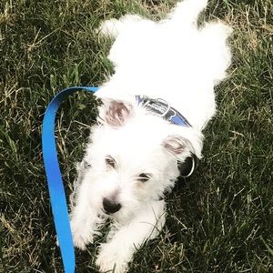 Like an item, but not the price?